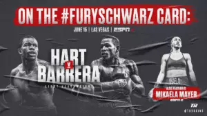 Fury