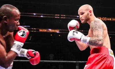 Maciej Sulecki background 0