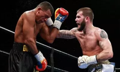 Plant DeAngel news 2