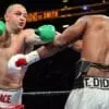 Adam Kownacki 12 Rounds