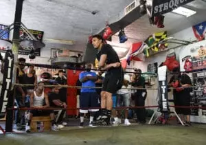 Teofimo Lopez Workout19