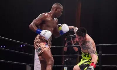 zerafa stumble large 0