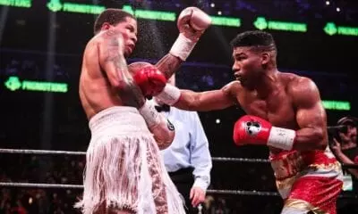 davis gamboa fight 19