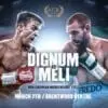 Dignum Meli MTK Global