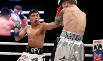 Julio Cesar Martinez-McWilliams Arroyo Fight Off Again