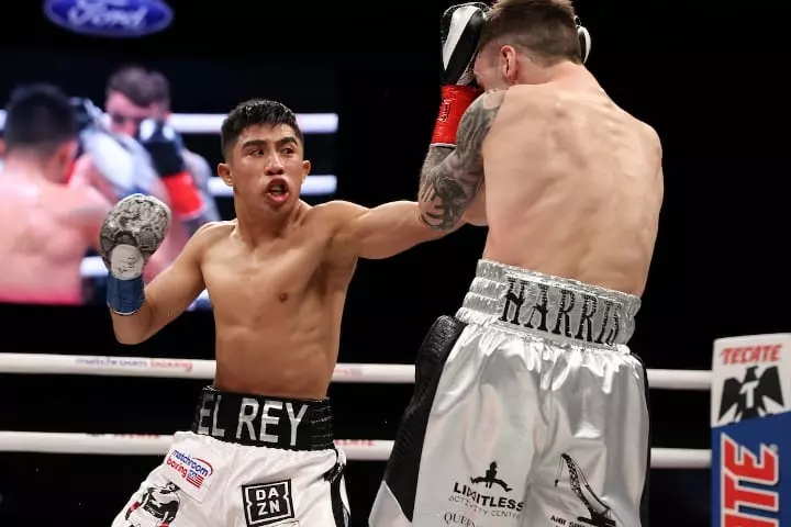 Julio Cesar Martinez-McWilliams Arroyo Fight Off Again