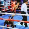 Gabriel Flores Jr vs Josec Ruiz knockdown