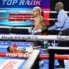 Jessie Magdaleno vs Yenifel Vicente knockdown