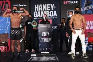 haney gamboa