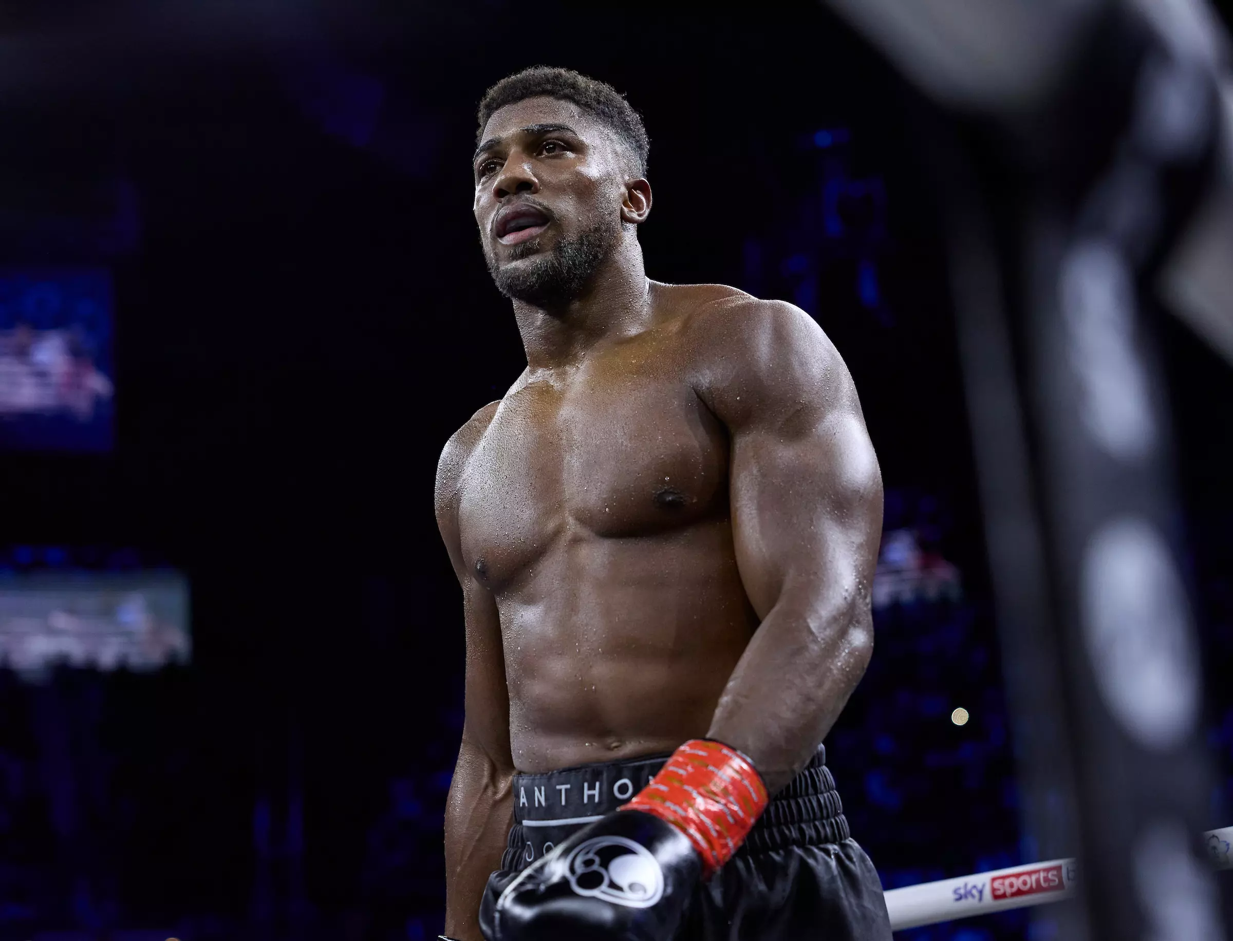 David Haye vs Anthony Joshua: Carl Froch Picks Clear Winner