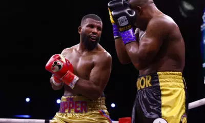 Five Best Scandinavian Boxers in 2025