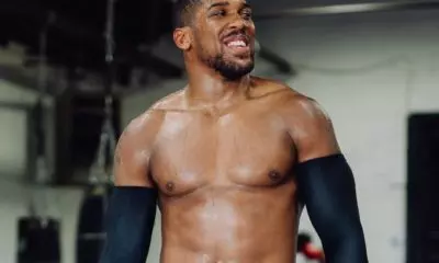 image 5 e1679929732231