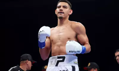 Diego Pacheco vs. Maciej Sulęcki: Fight Ends with a Brutal Liver Shot KO