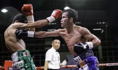 Title Fights Around the World: Melvin Jerusalem, Nina Meinke Win