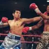 Five Most Memorable Marco Antonio Barrera Fights