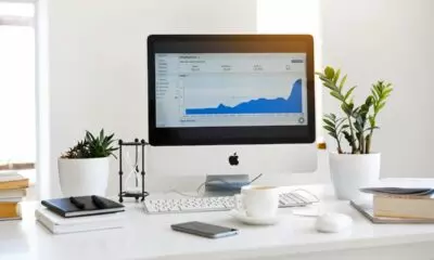 The Role of Data and Analytics in Choosing Fight Predictions