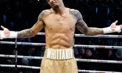 5 light heavyweights to watch out for in 2026 - light heavyweight boxers