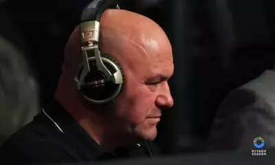 Zuffa Boxing 03: How to stream, betting odds and fight card