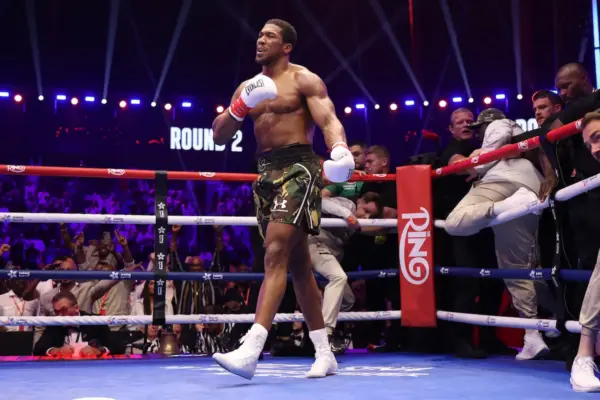 Anthony Joshua after knocking out Kristian Prenga